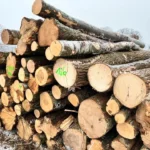PEFC-zertifiziertes Kiefernholz pro LKW-Ladung – 60 m³