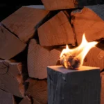 1 RM Buchenbrennholz 20 cm – Bild 2